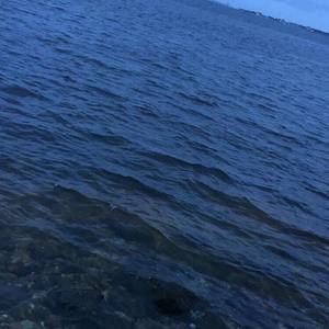 Meet your Posher, Brett